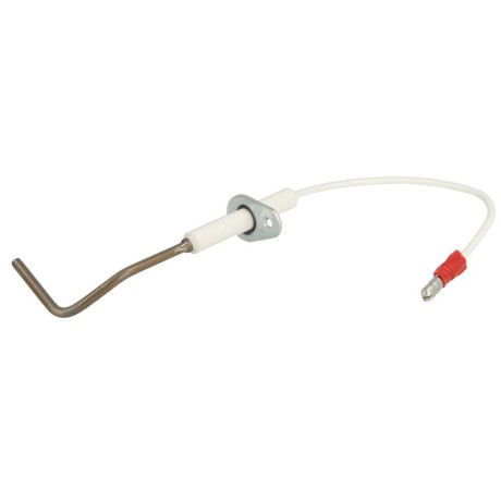 Wolf Ionisation electrode 2745857