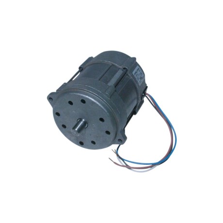Riello Motor for Mectron 15M 3005820