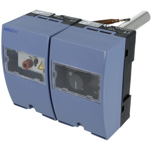 RAZ-ST.020FP Temperaturregler, Sicher-...