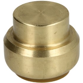 Tectite push-fitting cap 22 mm