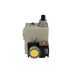 Dungs Gasregeleinheit MB-DLE 403 B 01 S20...