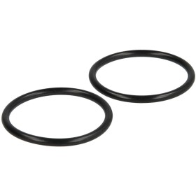 Dungs O-ringen (2 stuks) voor MB 405/407 242118