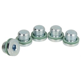 Dungs screw plug set with sealing ring G¼" (5...