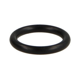 Junkers O-ring 10 pieces 87102050600