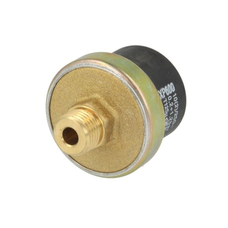 Elco Water pressure switch EURON® 12034921